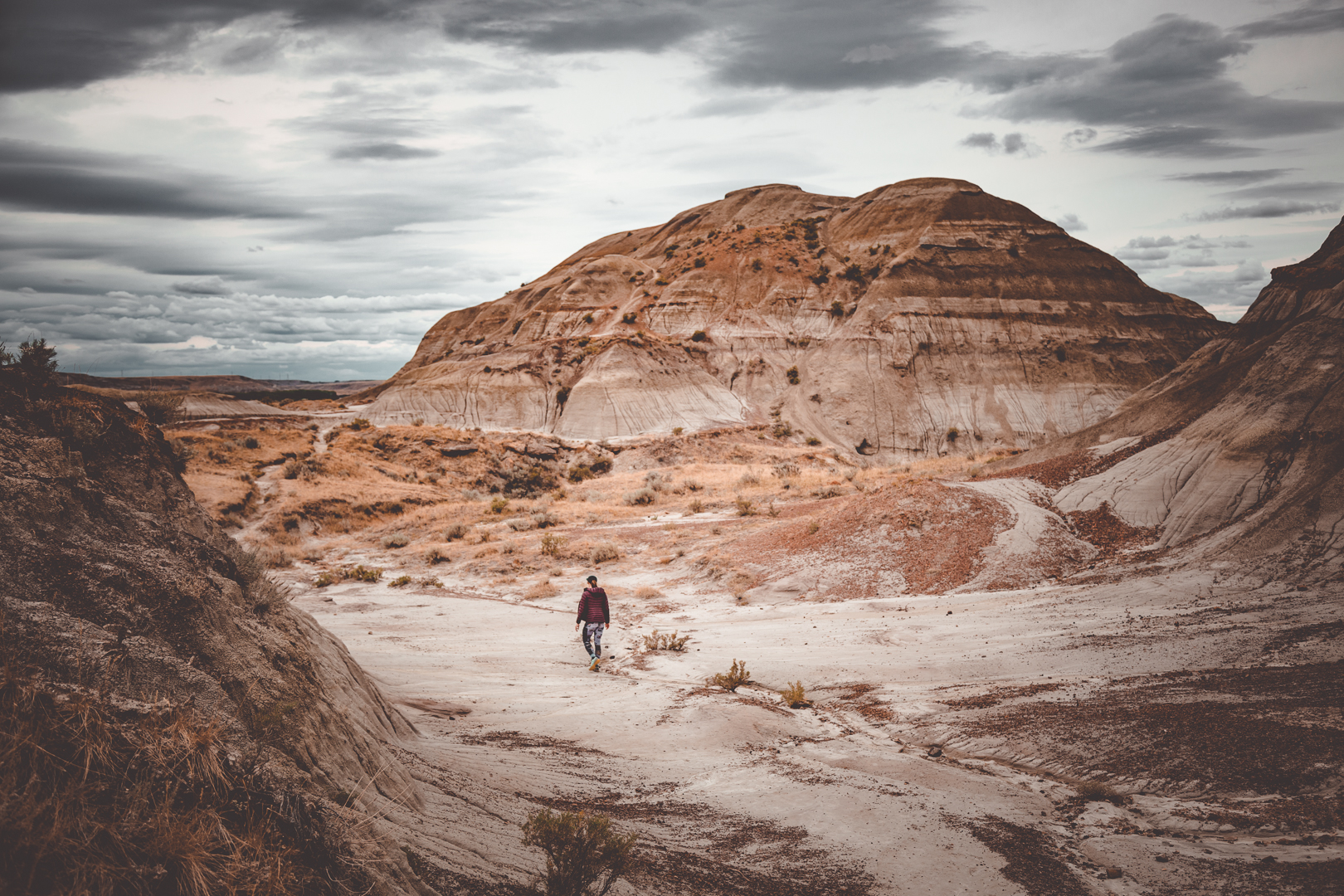 Dinosaur Provincial Park