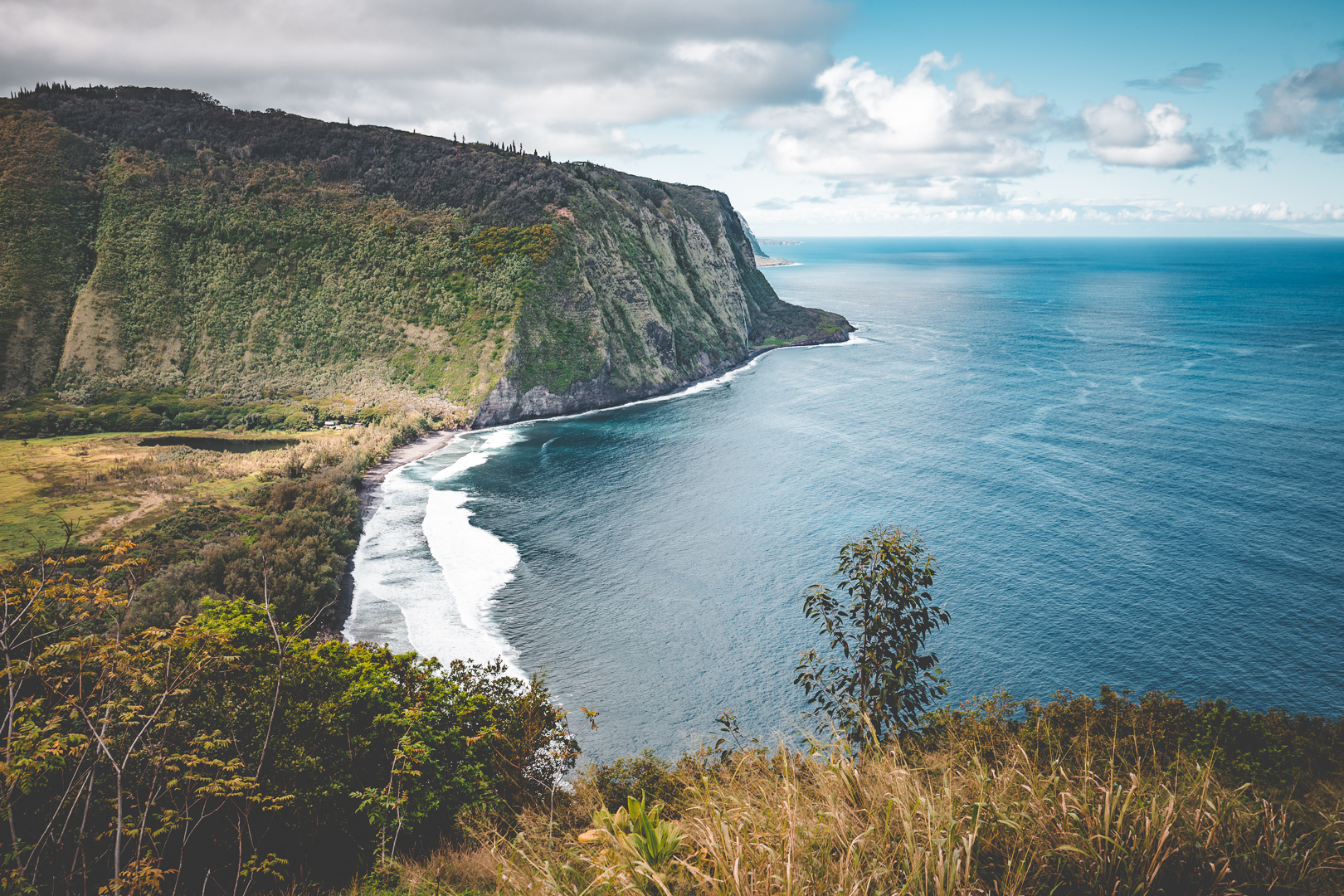 Waimanu Valley Trail