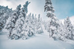 Mont Lyall