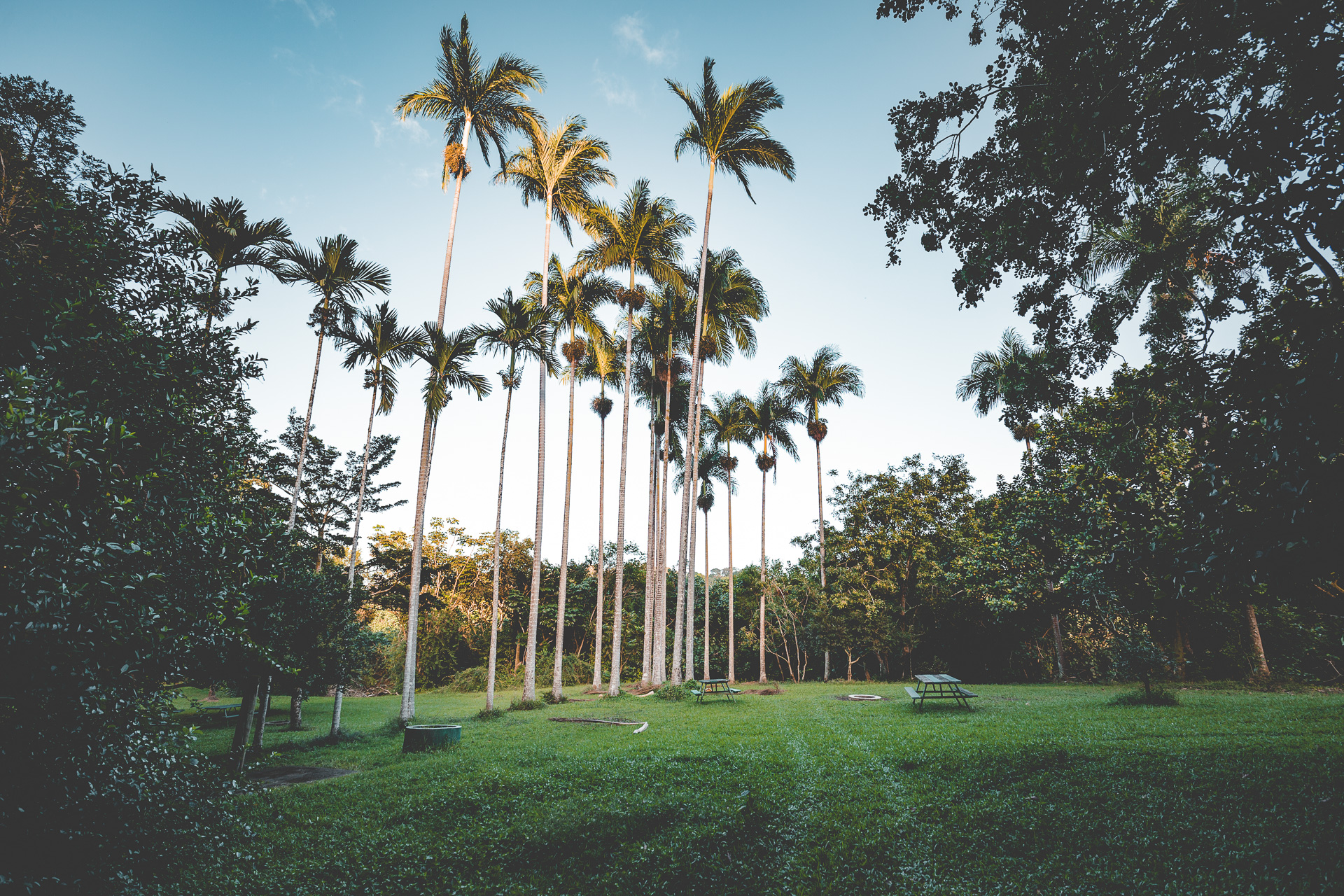 Hoomaluhia Botanical Garden Trail