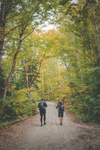 Massif du sud automne