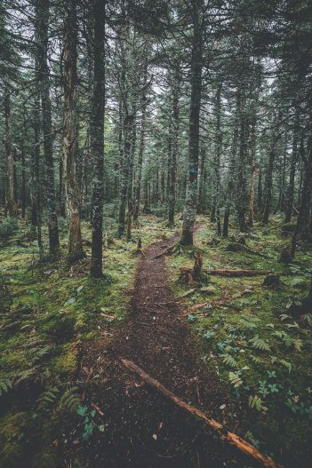 Massif du sud Automne