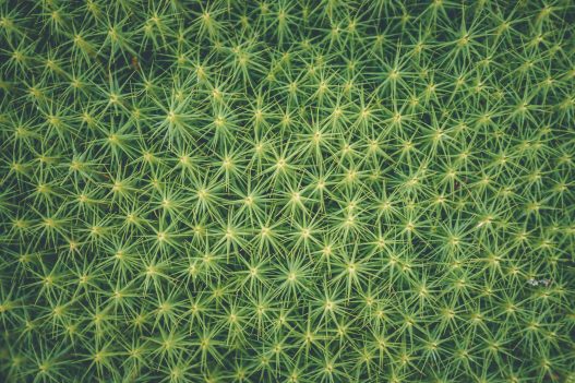 Massif du sud Automne