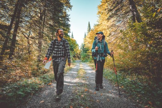 Massif du sud Automne