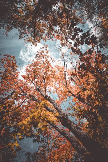 Massif du sud Automne